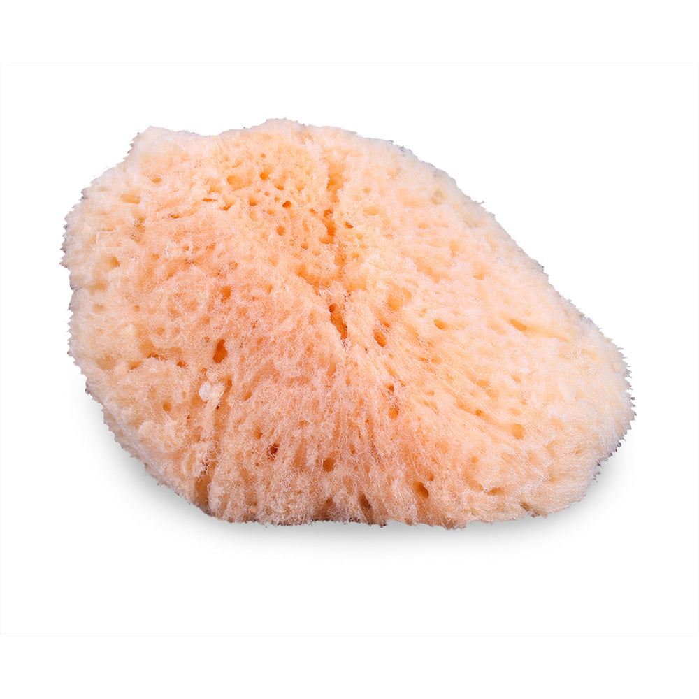 Mehron Natural Sea Sponge Applicator