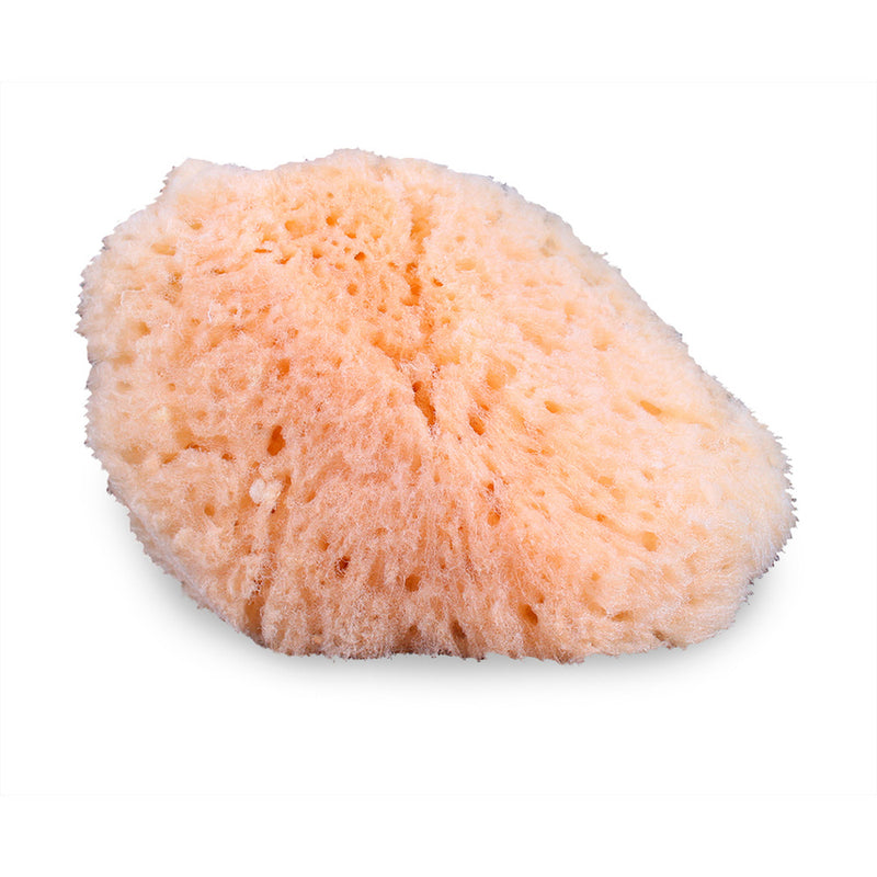 Mehron Natural Sea Sponge Applicator