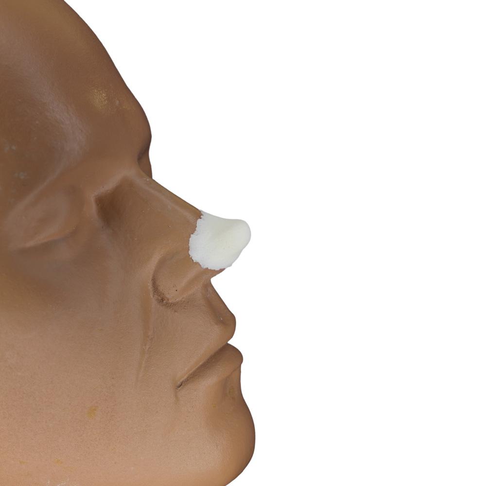  Prosthetic Nose